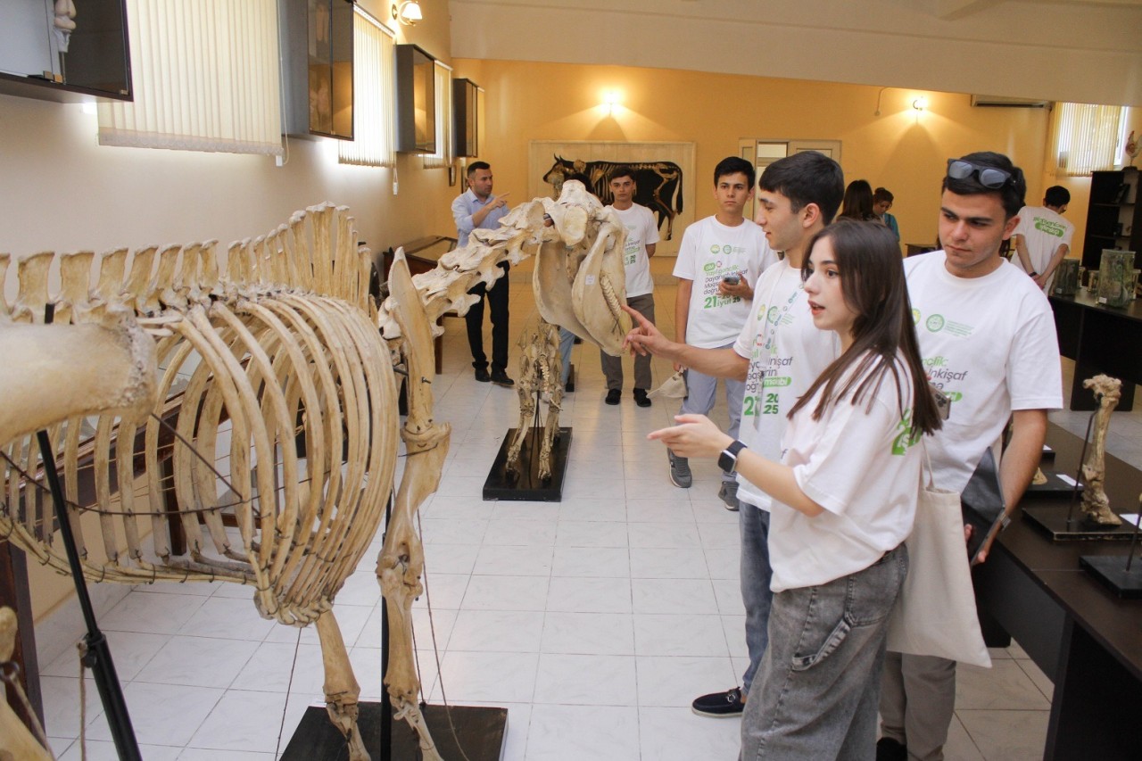 ADAU-da yay məktəbi davam edir - FOTOLAR